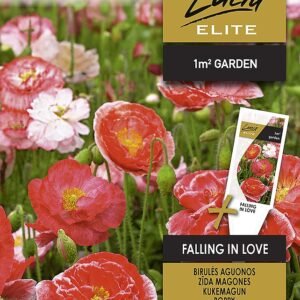 BIRULĖS AGUONOS FALLING IN LOVE