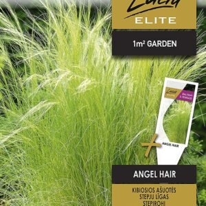 KIBIOSIOS AŠUOTĖS ANGEL HAIR