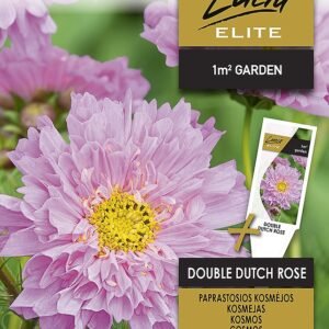 PAPRASTOSIOS KOSMĖJOS DOUBLE DUTCH ROSE