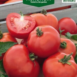 POMIDORAI VALGOMIEJI ROTKAPPCHEN