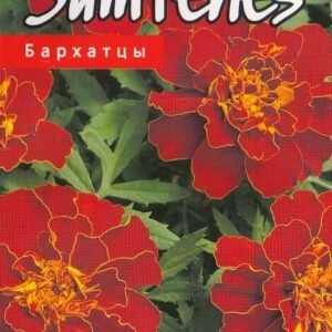 SERENČIAI GVAZDIKINIAI DURANGO RED