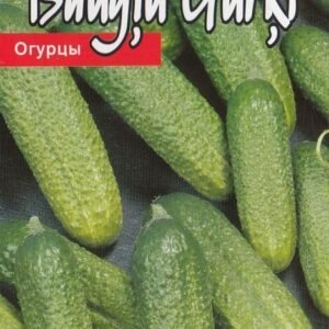 AGURKAI PAPRASTIEJI TRUMPAVAISIAI TRILOGY H