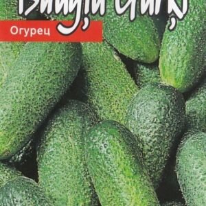 AGURKAI PAPRASTIEJI TRUMPAVAISIAI ADAM H