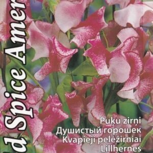 KVAPIEJI PELĖŽIRNIAI OLD SPICE AMERICA