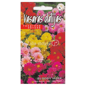 JURGINAI VASARINIAI BLOODY MARY