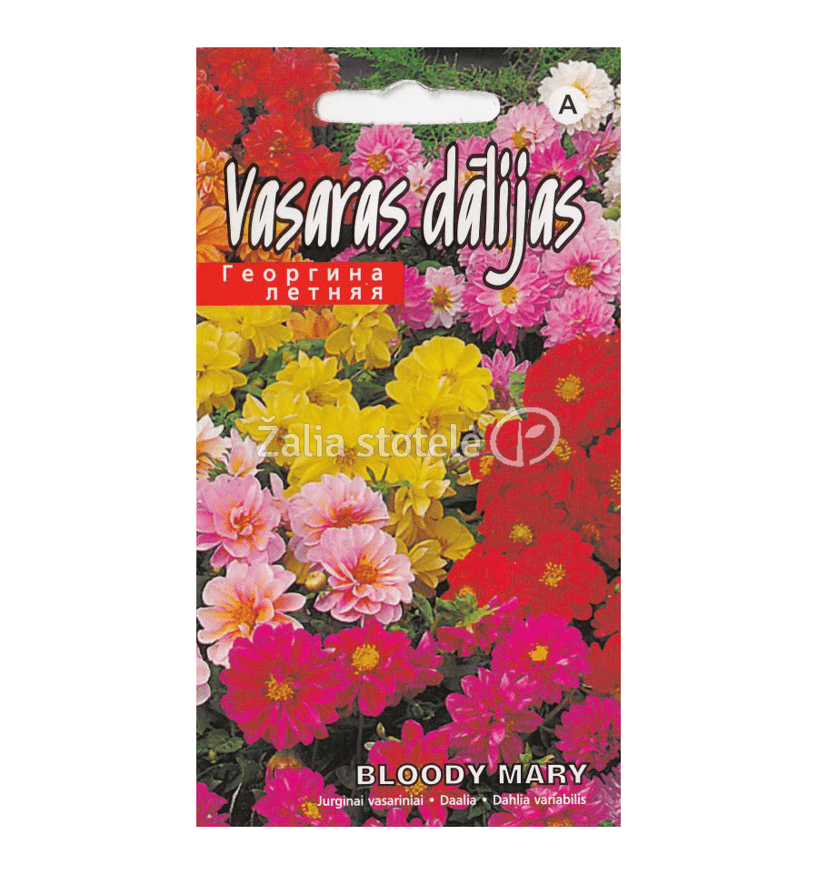 JURGINAI VASARINIAI BLOODY MARY