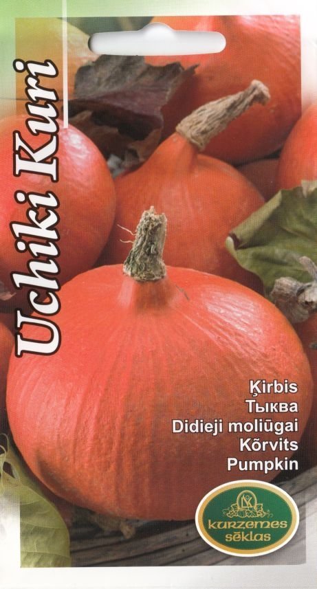 Moliūgas „Uchiki Kuri“