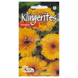 MEDETKOS VAISTINĖS PRINZESS GOLDEN BLACK