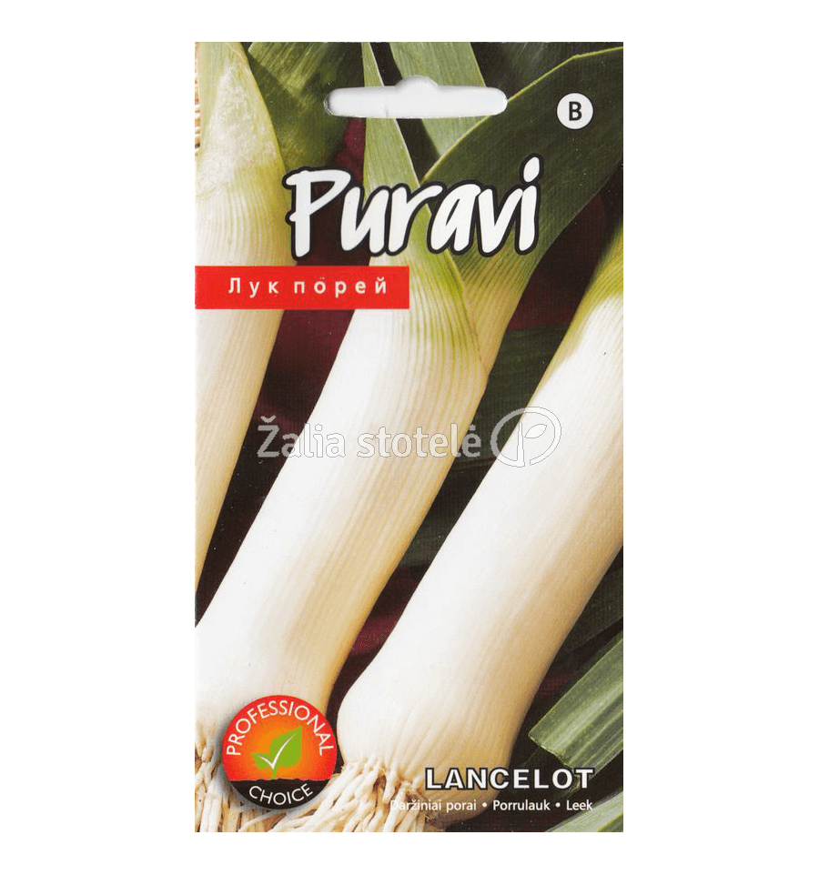 PORAI DARŽINIAI LANCELOT