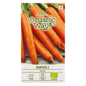 MORKOS VALGOMOSIOS NANTESE 2